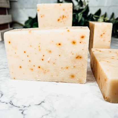 Carrot-olive-sunflower-citrus